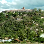 arulmigu dhandayuthapani swamy temple copy