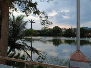 government walking park