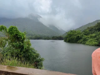 sirumalai reserved forests